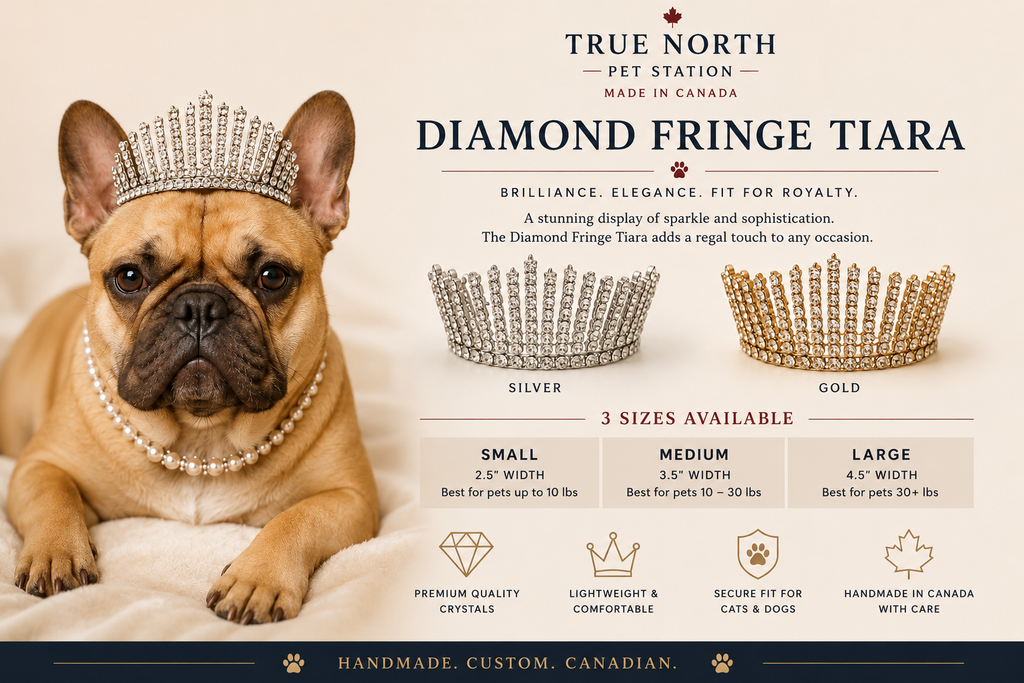 "Diamond Fringe Tiara handmade pet tiara in silver and gold, available in small, medium and large sizes for cats and dogs."