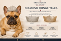 "Diamond Fringe Tiara handmade pet tiara in silver and gold, available in small, medium and large sizes for cats and dogs."