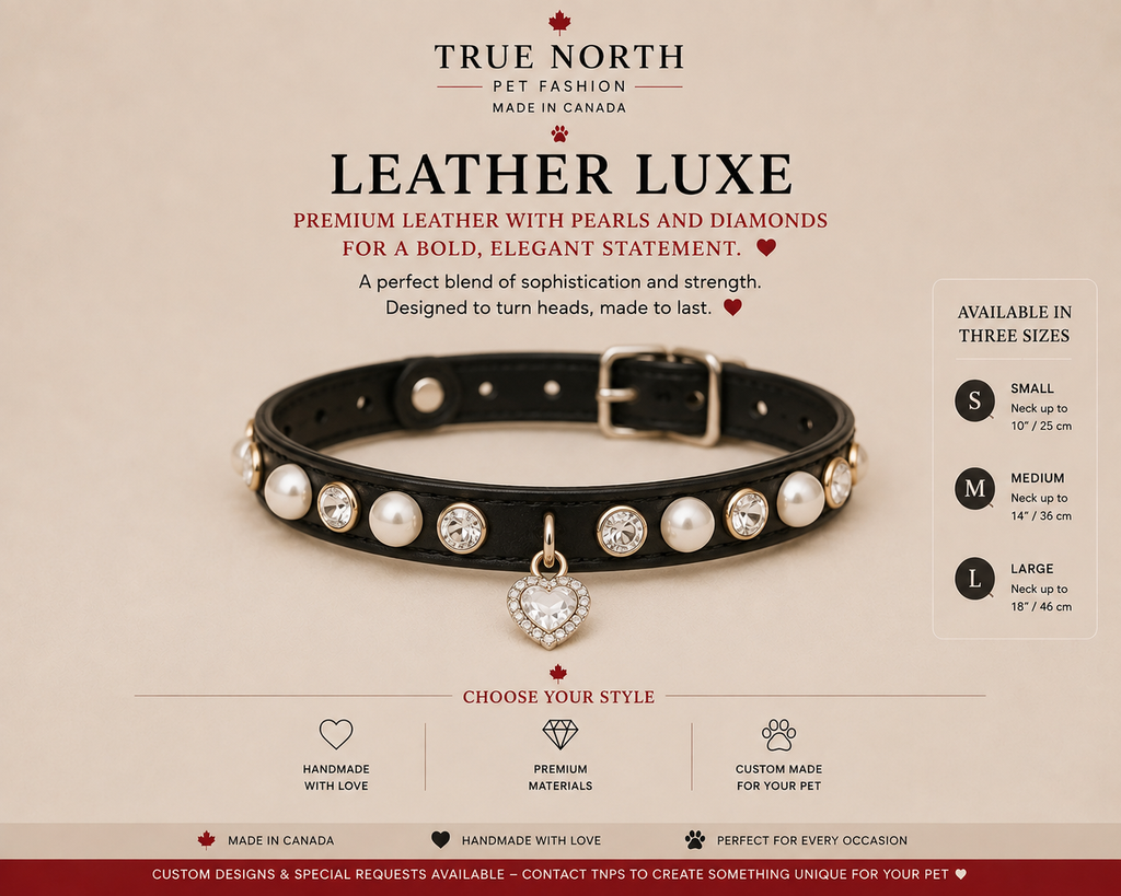 Leather Luxe – Handmade Pet Neck Jewelry