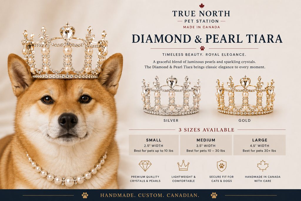 Handmade Diamond & Pearl pet tiara in silver and gold for dogs and cats.