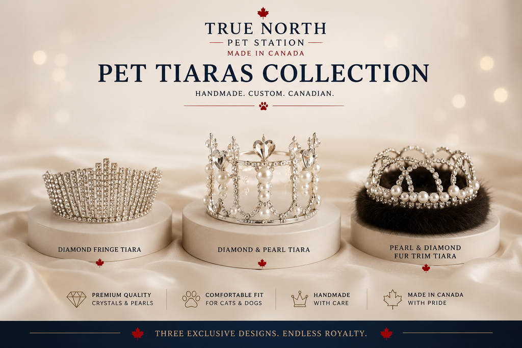 True North Pet Station Pet Tiaras Collection overview