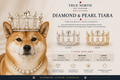 Diamond & Pearl Tiara – handmade pet tiara in silver and gold for cats and dogs