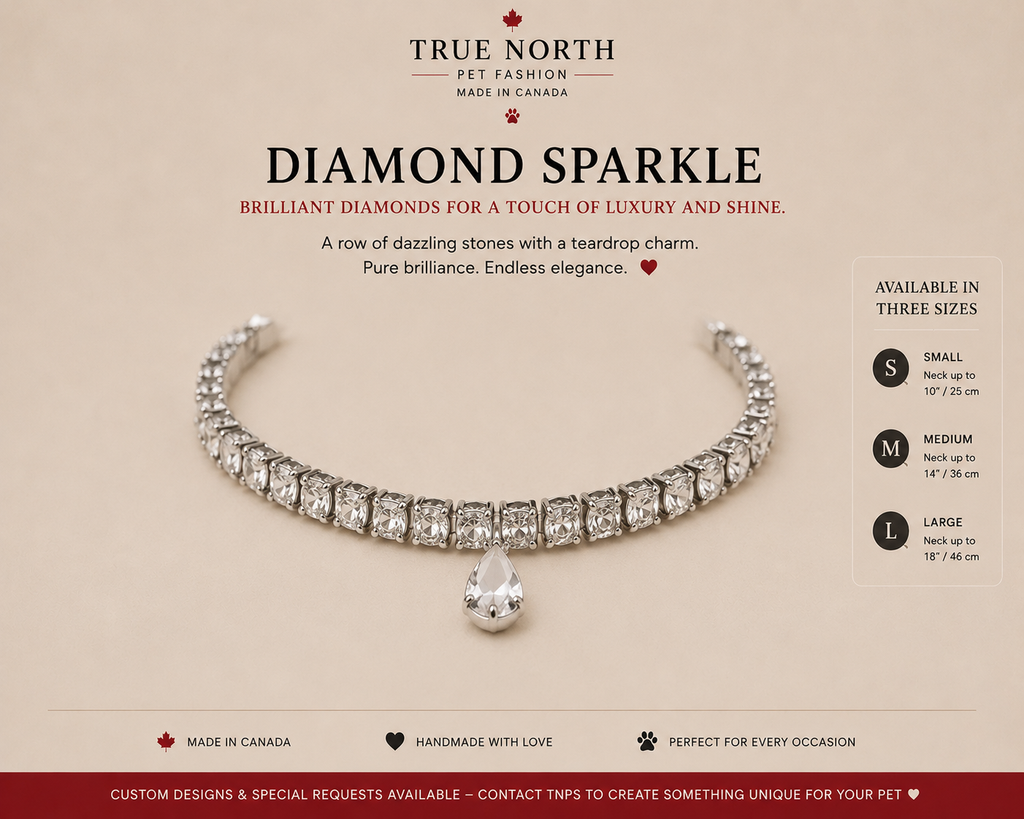 Diamond Sparkle – Handmade Pet Neck Jewelry